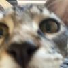 jigglybeans
